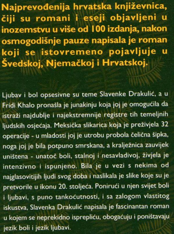 Frida ili o boli - Image 2
