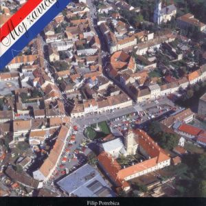 Pozesko-Slavonska zupanija: prirucnik za zavicajnu nastavu